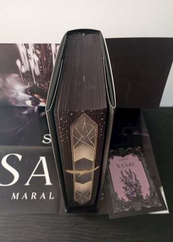 Maral Atmaca'dan Saka ve Sanrı Romanı