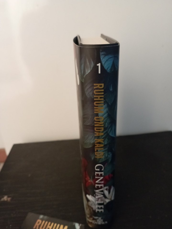 Ruhum Onda Kaldı - Geneva Lee - Görsel 4