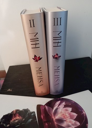 Mehsa - Dilsiz Yankı Romanı - Görsel 2