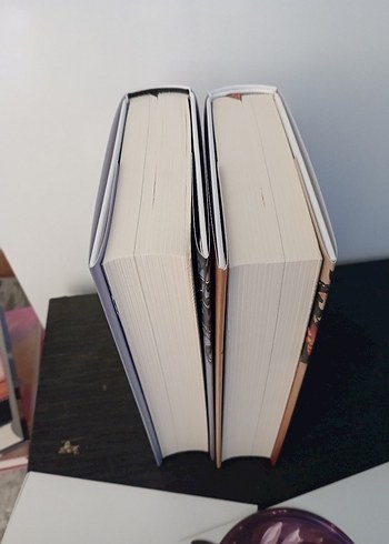 Mehsa - Dilsiz Yankı Romanı - Görsel 3