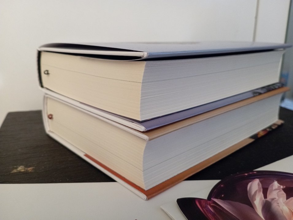 Mehsa - Dilsiz Yankı Romanı - Görsel 4