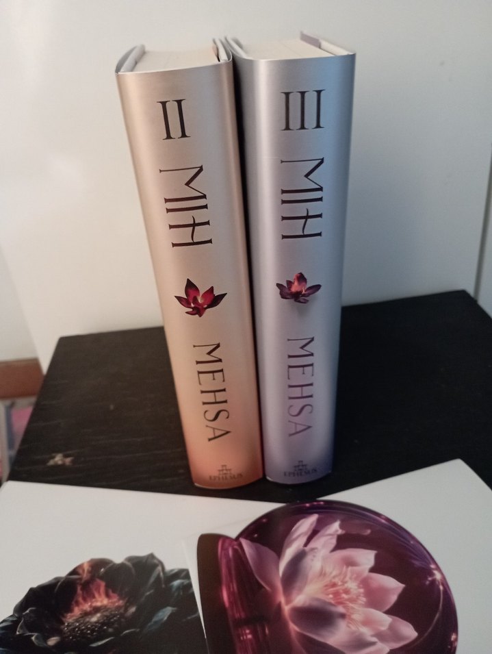 Mehsa - Dilsiz Yankı Romanı - Görsel 2