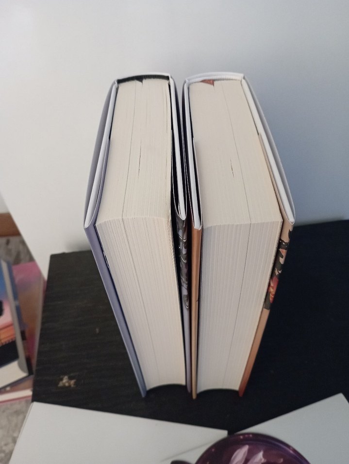 Mehsa - Dilsiz Yankı Romanı - Görsel 3