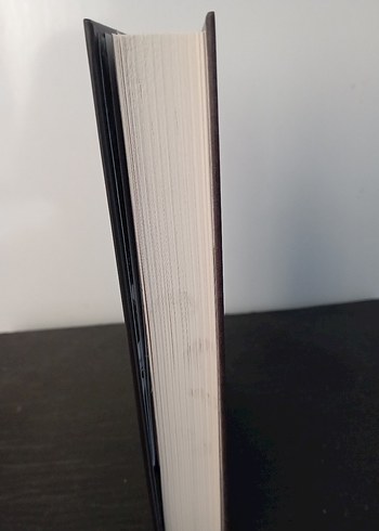 Unutulmuş Büyüler - D.N. Archeron - Görsel 7