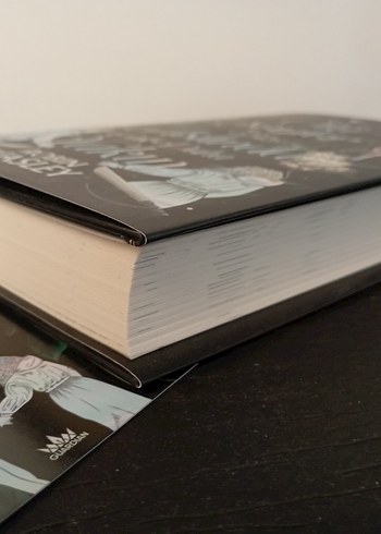 Ölü Şeyler Bize Aslında Çok Daha Yakın - Robin Wasley - Görsel 5