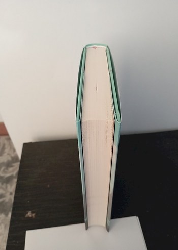 Meryem Nart - Çalıntı Hayat Romanı - Görsel 2