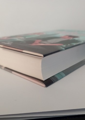 Meryem Nart - Çalıntı Hayat Romanı - Görsel 5