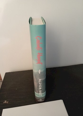 Meryem Nart - Çalıntı Hayat Romanı - Görsel 4