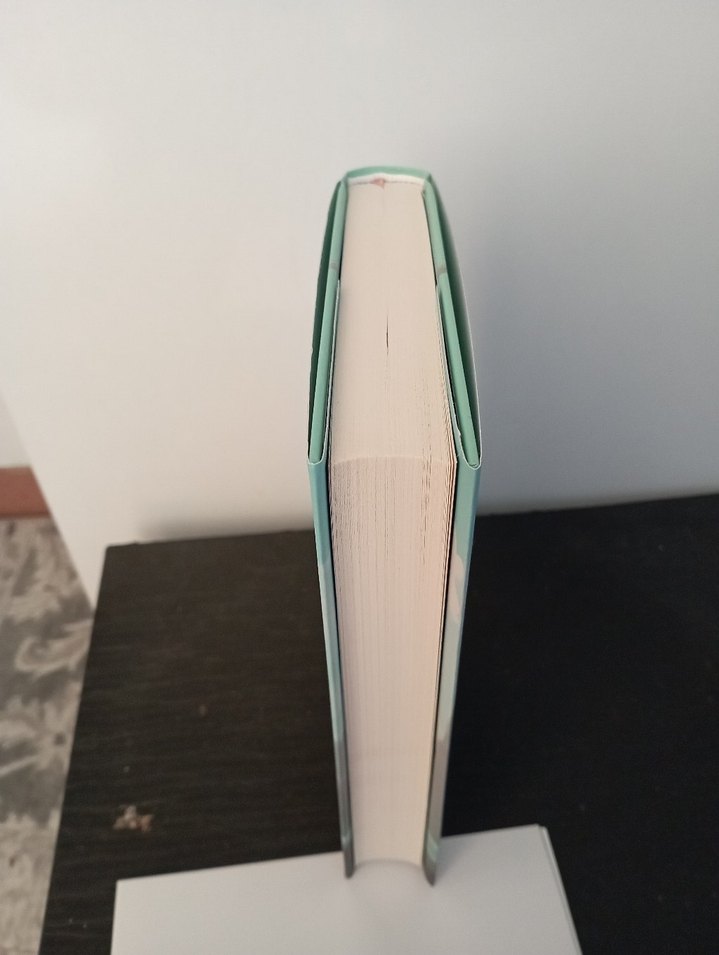 Meryem Nart - Çalıntı Hayat Romanı - Görsel 2