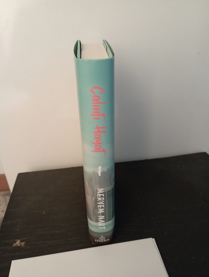 Meryem Nart - Çalıntı Hayat Romanı - Görsel 4