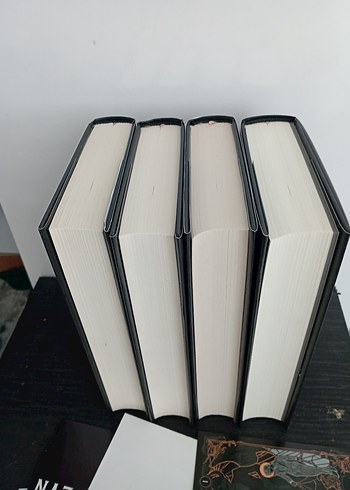 Bronz Serisi Roman Seti - 4 Kitap - Görsel 2