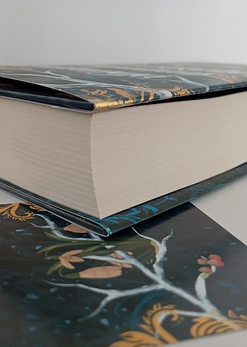 Mürekkebe - Sümeyye Demirkan Roman - Görsel 5