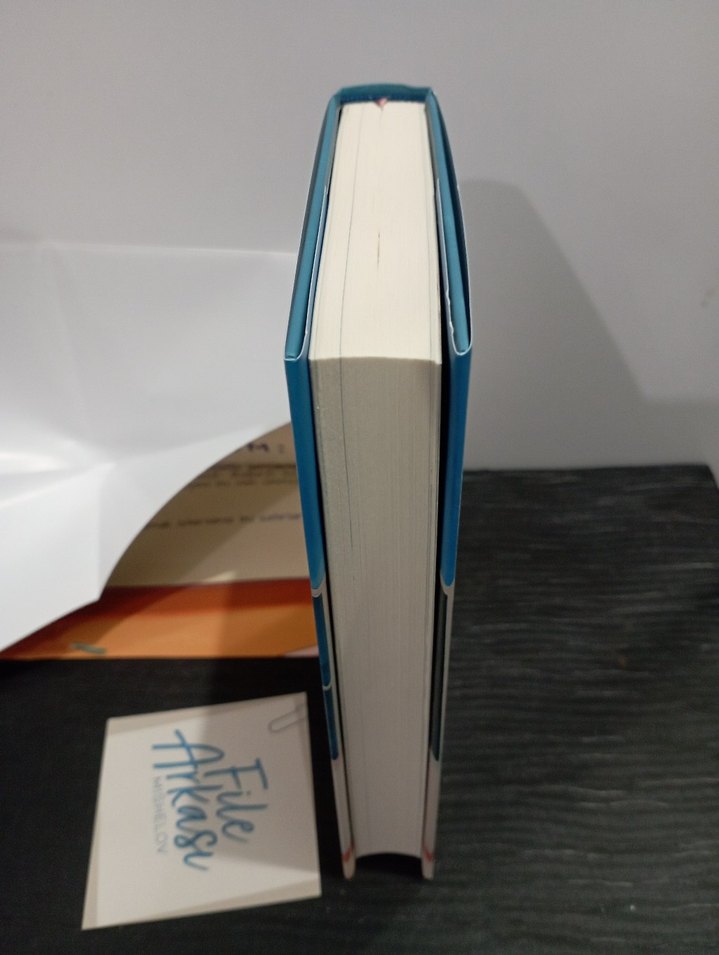 File Arkası - Mishelov Roman - Görsel 2