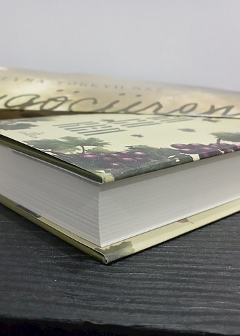 Seyma Türkyılmaz - Köy Göçüren Romanı - Görsel 5