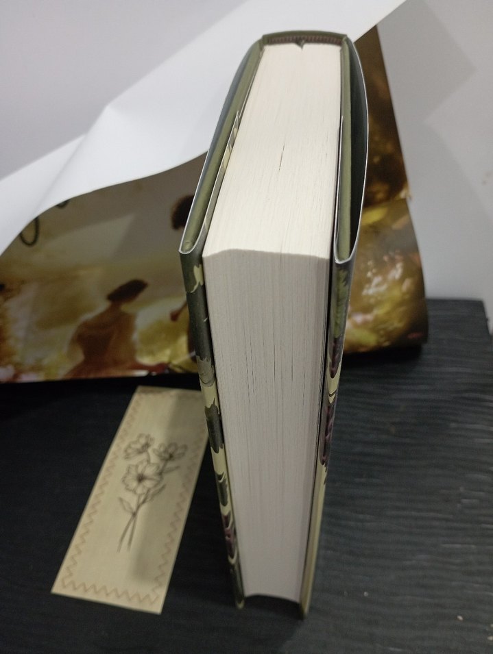 Seyma Türkyılmaz - Köy Göçüren Romanı - Görsel 2