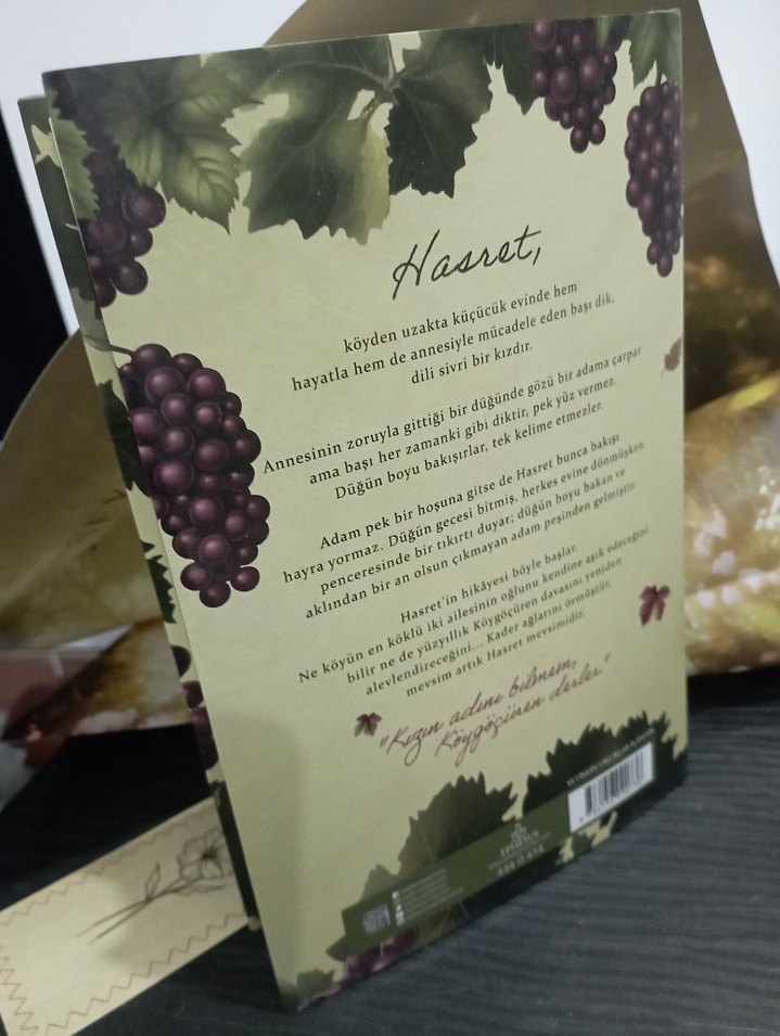 Seyma Türkyılmaz - Köy Göçüren Romanı - Görsel 3