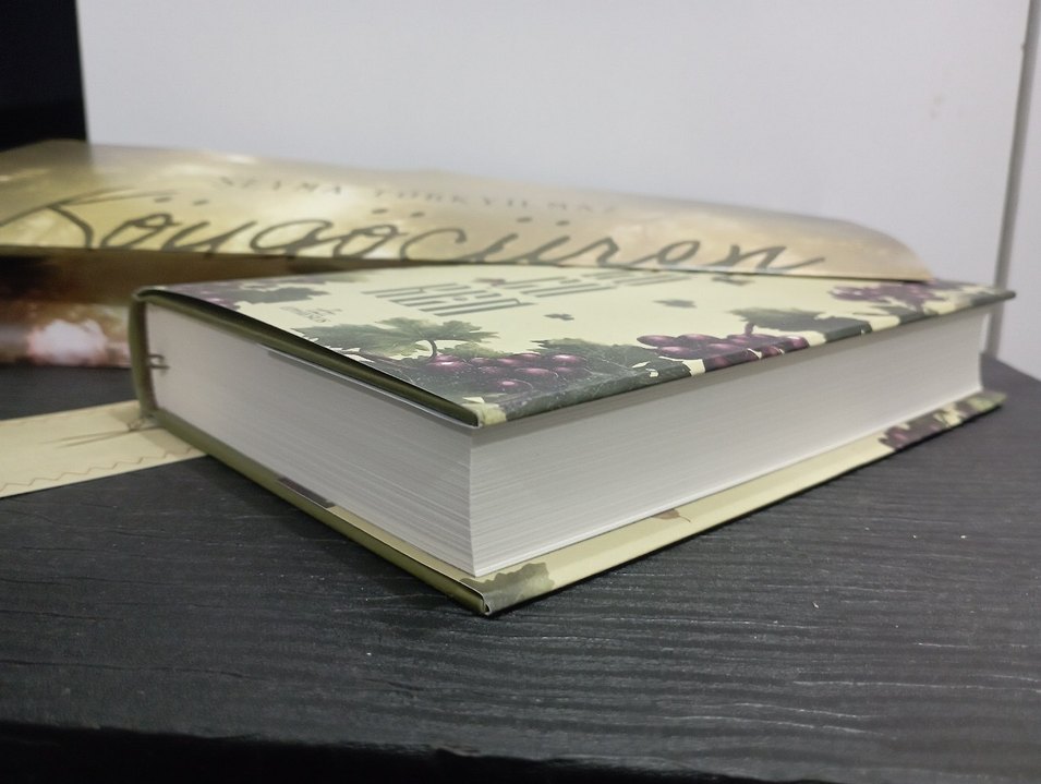 Seyma Türkyılmaz - Köy Göçüren Romanı - Görsel 5