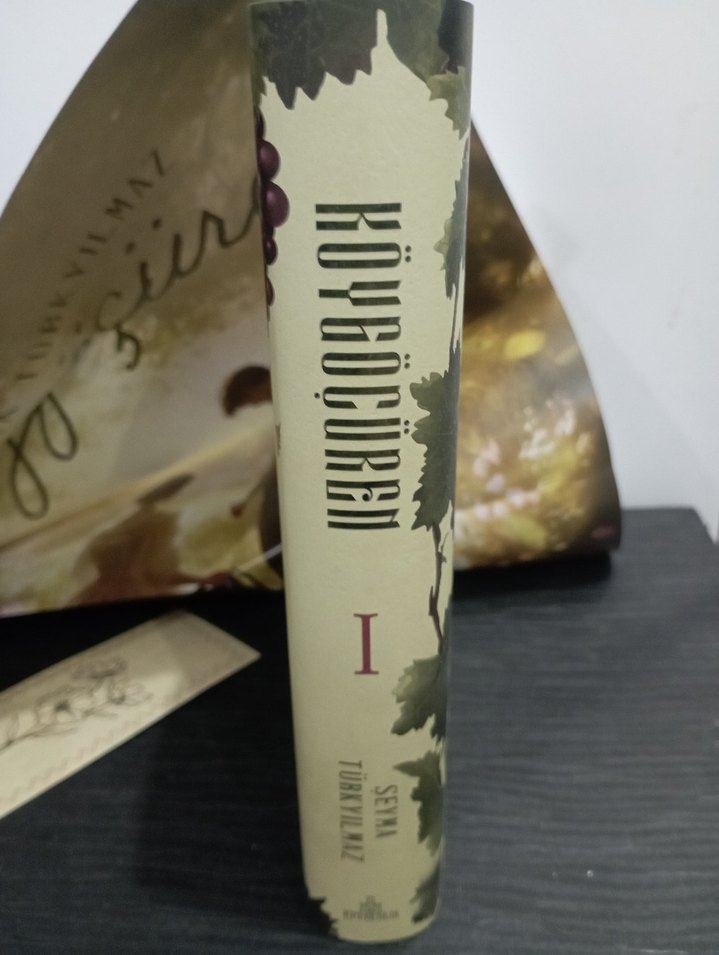 Seyma Türkyılmaz - Köy Göçüren Romanı - Görsel 4