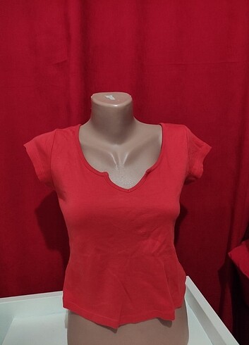 REVİEW CROP