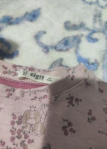 Diğer Cigit marka