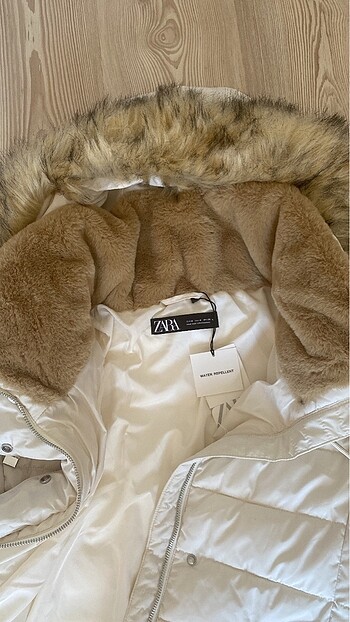 m Beden Zara mont
