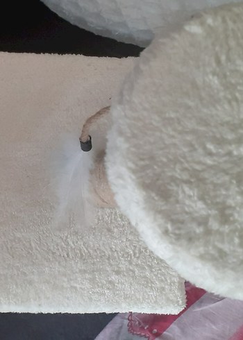Beyaz Peliş Tüylü  Kaplamalı Kedi Tırmalama ve Oyun  Alanı - Görsel 5