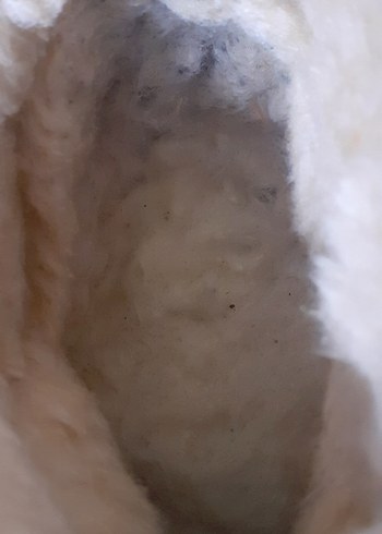 UGG Clasic Ultra Mini Taba Kadın Bot - Görsel 13