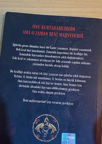 Güllerin Yıkımı - K.F. Breene - Görsel 2