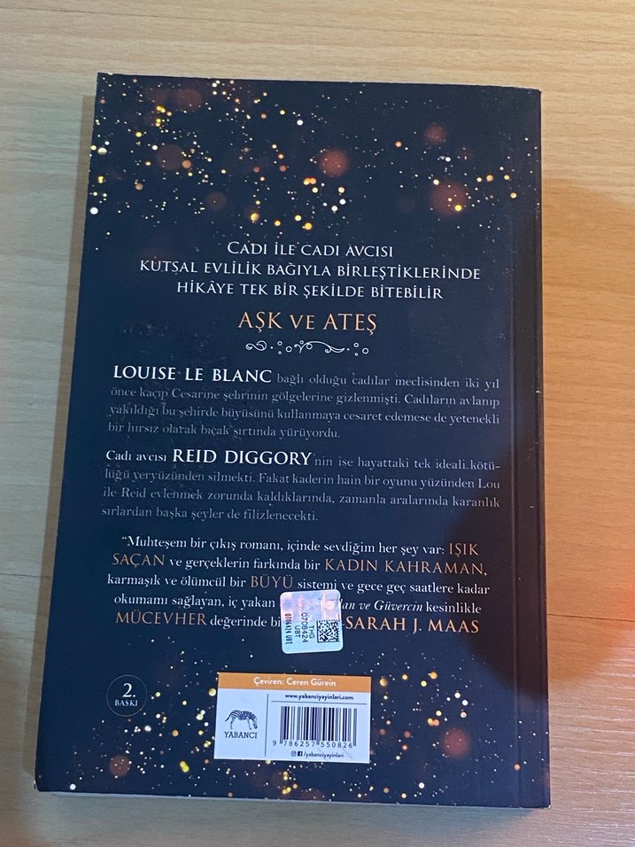 Yılan ve Güvercin - Shelby Mahurin - Görsel 2