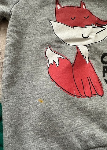 5 Adet Şardonlu Sweat (3-4 yaş) - Görsel 6