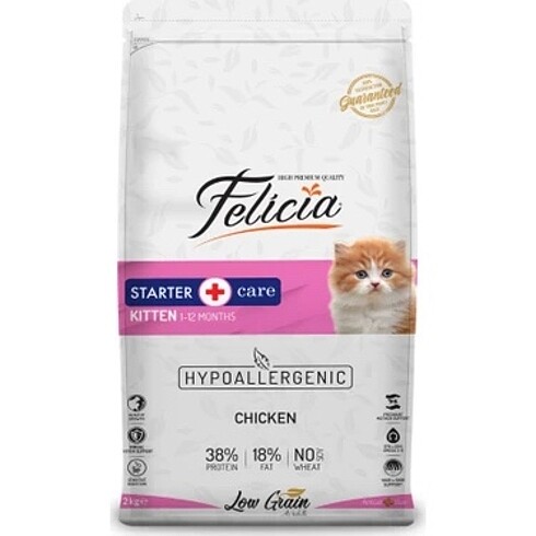 Felicia kitten 1.5 kg