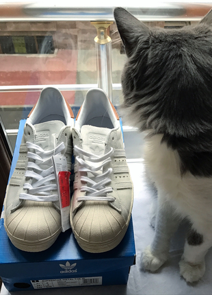 Adidas Adidas Superstar Unisex ayakkabının