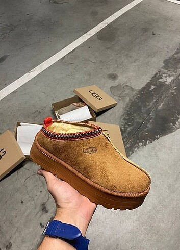 UGG TAZZ BOT