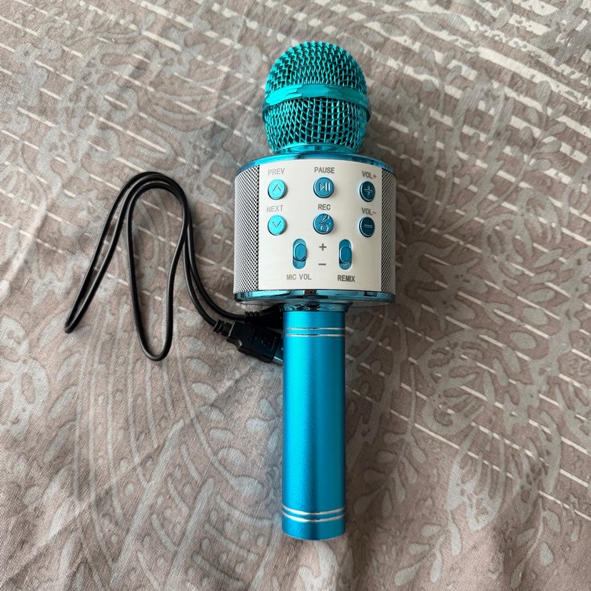 Mavi Torima WS-858 Karaoke Mikrofon - Görsel 2