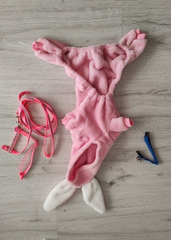 Kedi Kıyafeti ve Tasmaları