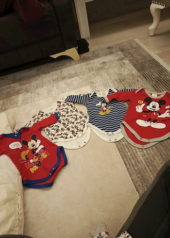 Walt Disney World 3 Ay