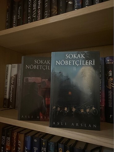 Sokak Nöbetçileri 1&2 (Karton Kapak)