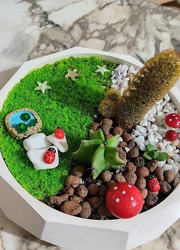  Beden Dekoratif sükulent kaktüs saksı 