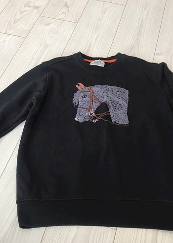 Erkek Sweatshirt