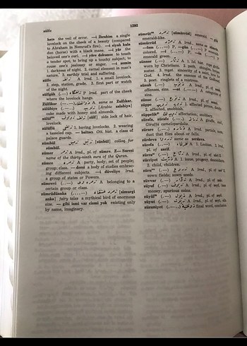 Redhouse Türkçe-İngilizce Sözlüğü - Görsel 3