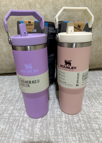 Stanley Pastel Renkli Çocuk Termos Şişesi - Görsel 2