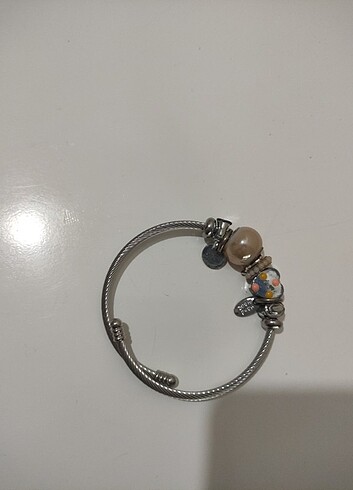 Accessorize Accessorien Çelik Pandora 