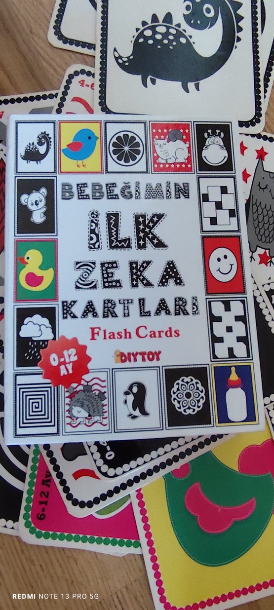 İlk Zeka Kartları - Görsel 2