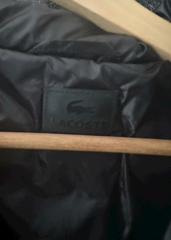 Siyah Kapüşonlu Kadın Kış Montu orjinal lacoste - Görsel 2