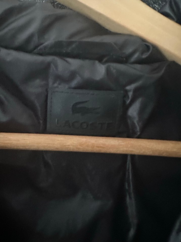 Siyah Kapüşonlu Kadın Kış Montu orjinal lacoste - Görsel 2