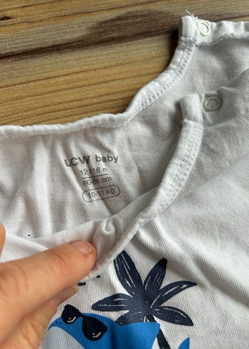 LC Waikiki Erkek Bebek Takımı