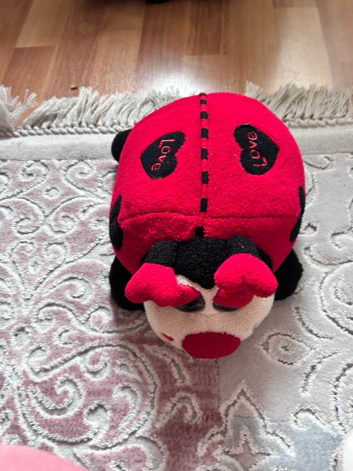 Kırmızı Uğur Böceği Peluş Oyuncak - Görsel 4