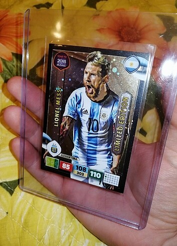 Panini messi rezerve 