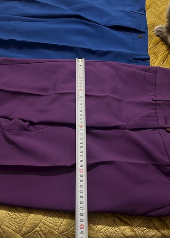 Journey 2 adet Parlak Mor Kadın Kumaş Pantolon - Görsel 3