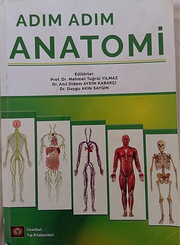 Adım adım anatomi